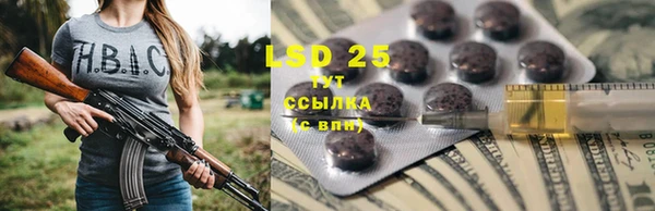 a pvp Каменка