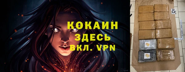 apvp Инта