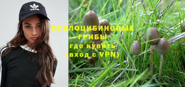 Альфа ПВП Каменск-Шахтинский