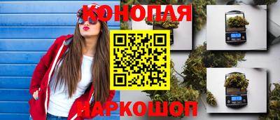 ПСИЛОЦИБИНОВЫЕ ГРИБЫ Гатчина