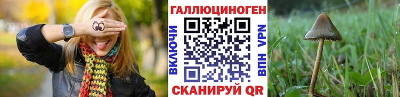 Псилоцибиновые грибы Psilocybine cubensis Омск