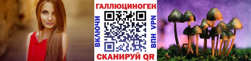 Галлюциногенные грибы Psilocybe  Омск 