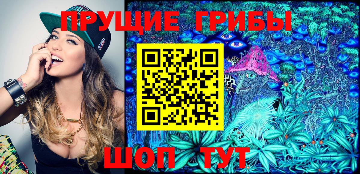 наркотики  Омск  Галлюциногенные грибы Psilocybe 
